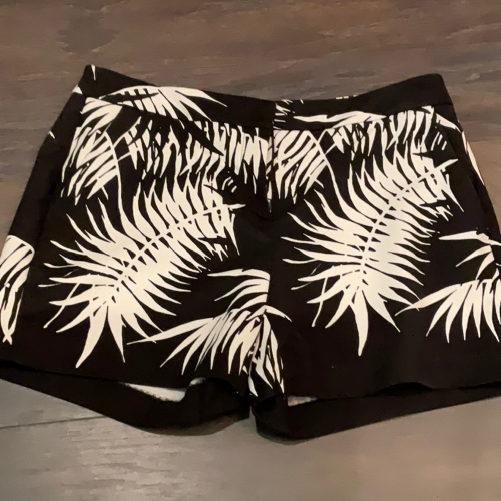 Vince Camuto dressy shorts